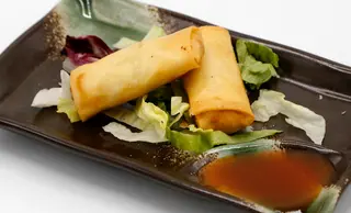 16.Involtini primavera
