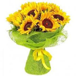 11 Girasoli