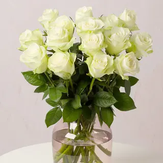12 Rose bianche