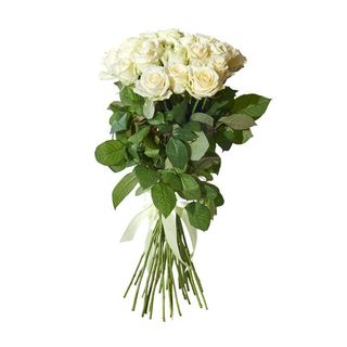 12 Rose bianche 70-80 cm