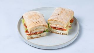 Панини с индейкой (200г)