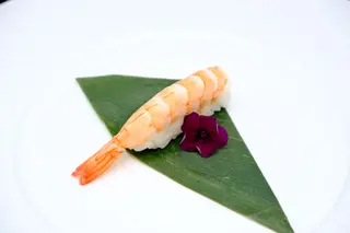 156 - Nigiri ebi