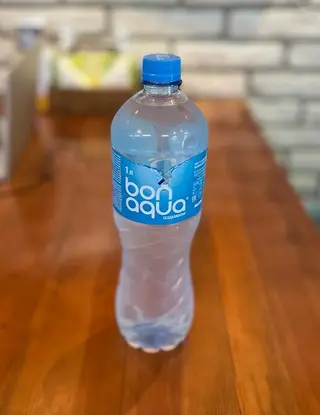 Bonaqua большая (1л)