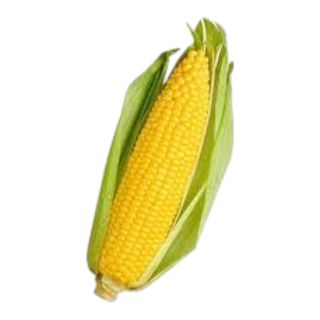 Sweet Corn 1 Piece