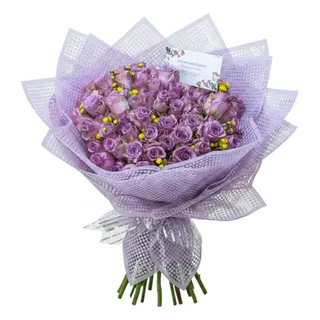 The Purple Girl