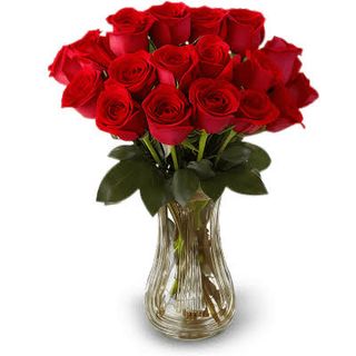 18 Rose rosse ecuadoriane