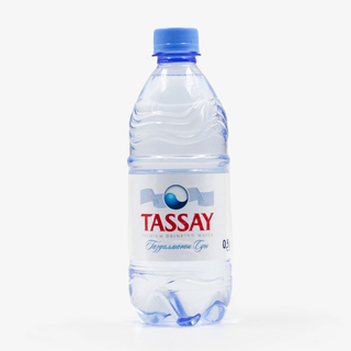 Tassay(0.5л)