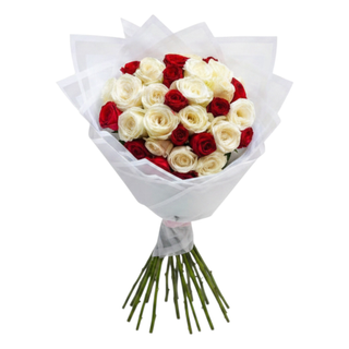 14 Red and White Roses