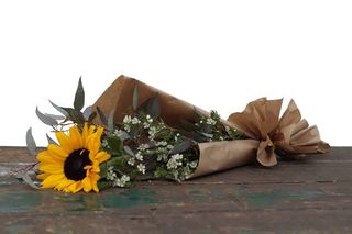 1 Girasole