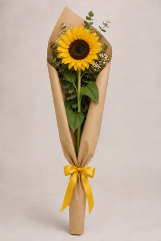 1 Girasole confezionato