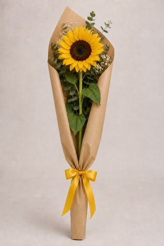 1 Girasole confezionato