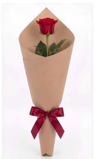 1 Rosa rossa