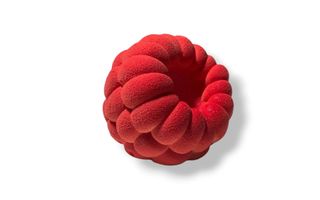 1. Raspberry