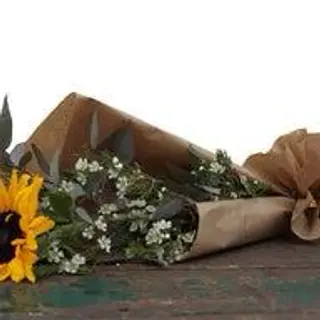1 girasole 