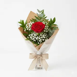1 Rosa confezionata con gypsophila e verde 
