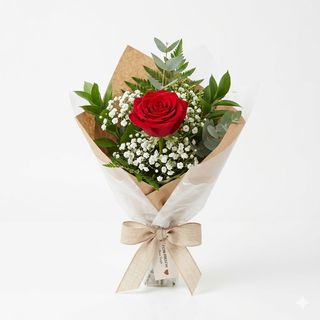1 Rosa confezionata con gypsophila e verde 