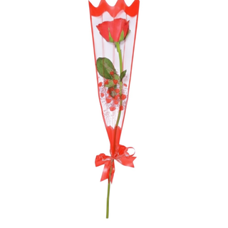 The Single Stem Rose