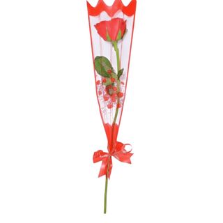 The Single Stem Rose