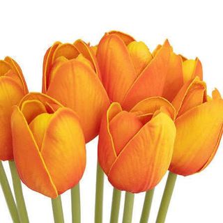Tulipani arancioni 20 pezzi