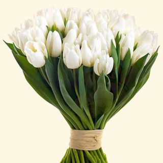 Tulipani bianchi 20 pezzi