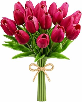 Tulipani fucsia 20 pezzi