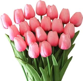 Tulipani rosa 20 pezzi
