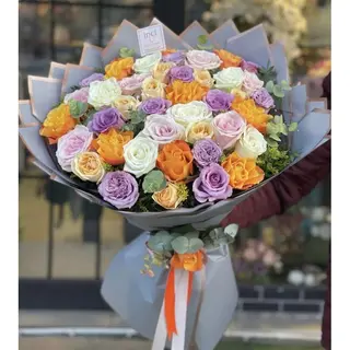 21 rose olandesi miste