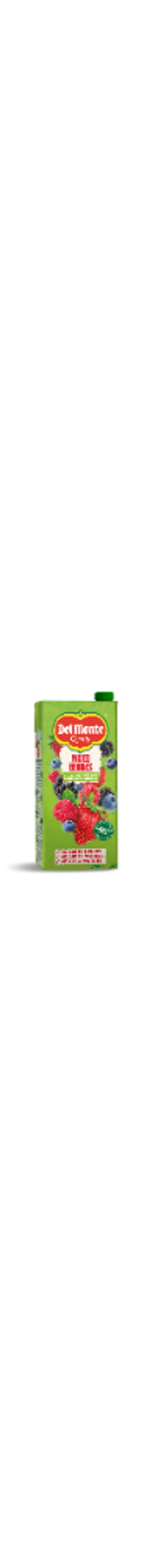 Del Monte Juice Blend Mixed Berry 1 L