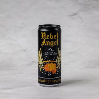 Rebel Angel