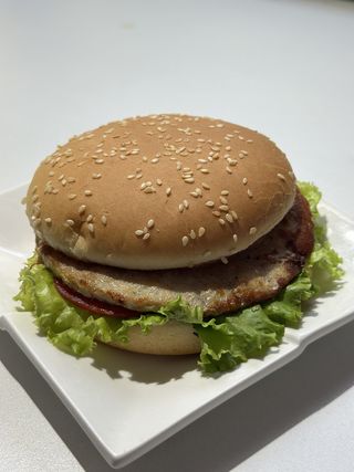 2х Бургер куриный (500г)