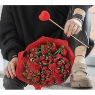 31 tulipani mono colore