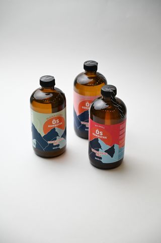 Комбуча (330мл)