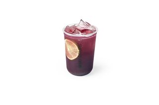 Голубика (500мл) Berry Fizz