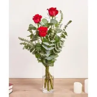 3 rose rosse