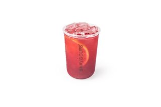 Клюква (500мл) Berry Fizz