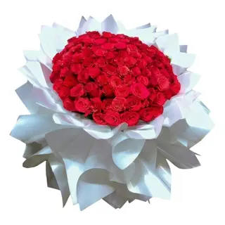Diamond White & Scarlet Rose Display