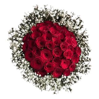 Classic Red Roses & Baby's Breath