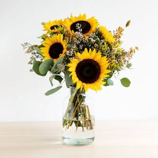 5 Girasoli grandi