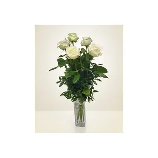 5 rose bianche