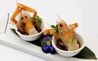 Ca6.Scampi