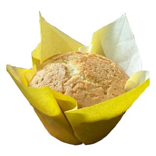 Plain Muffin