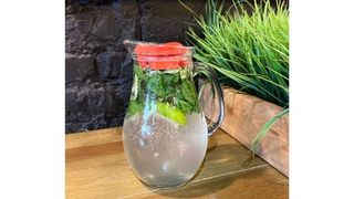 Лимонад Мохито(1л)