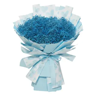 Blue Baby breath