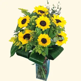 7 Girasoli