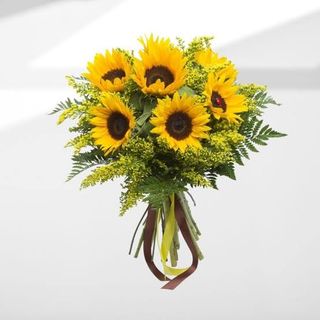 7 Girasoli grandi