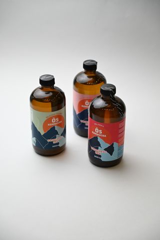 Комбуча (500мл)