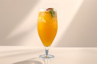 Лимонад Тропический(450мл)