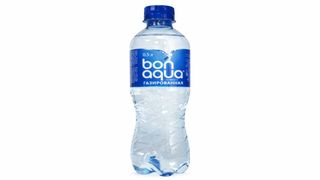 Вода с газом (0,5л)