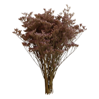 Fragrant Lavender