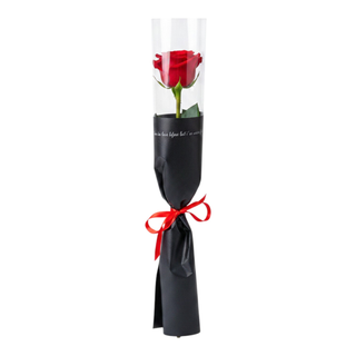 1 stem rose 